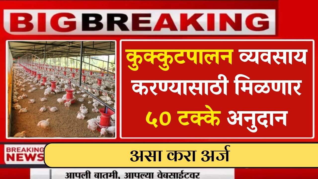 कुक्कुटपालन व्यवसाय करण्यासाठी मिळणार ५० टक्के अनुदान , असा करा अर्ज